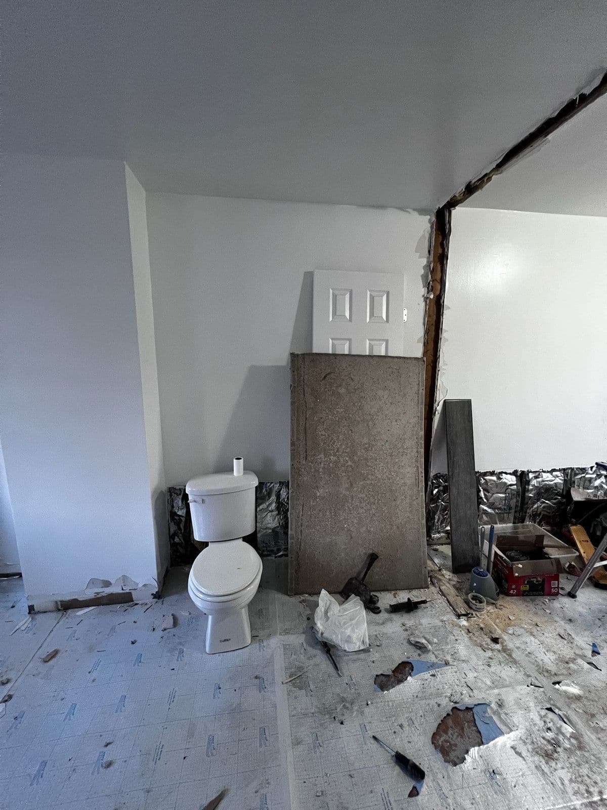 Mid-demolition: the bathroom stripped back to the wall framing, with only the toilet left standing on the bare floor.
